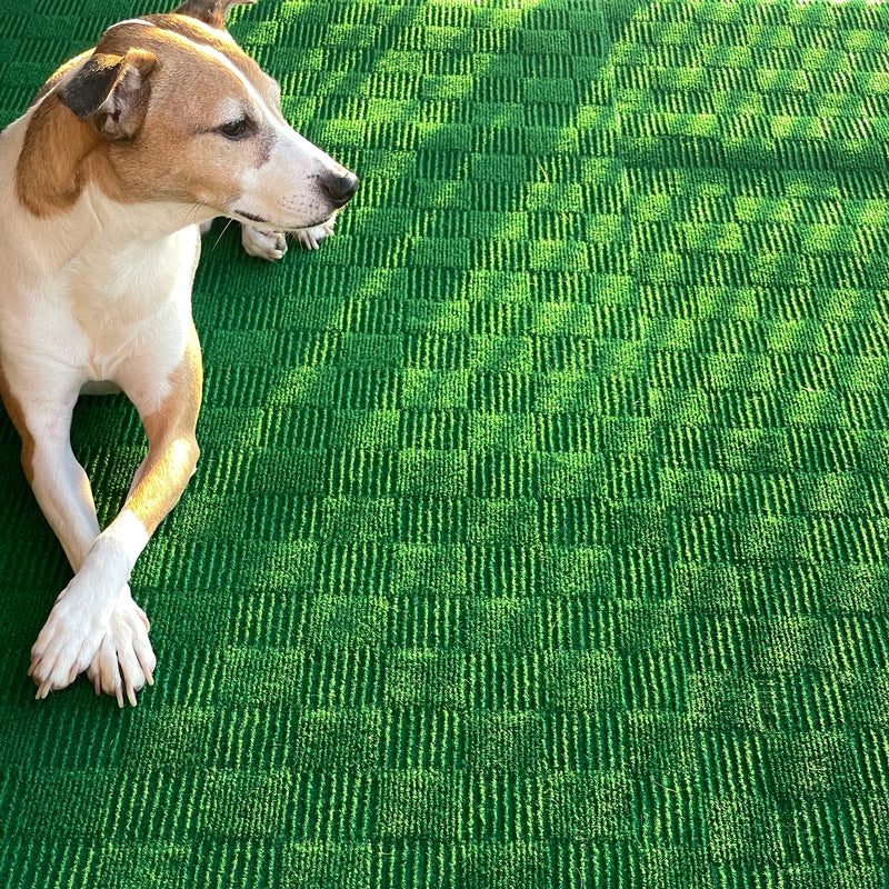 Dog on carpet for outdoors & indoors rollable carpet designer carpet pattern berber carpet for trade shows & events